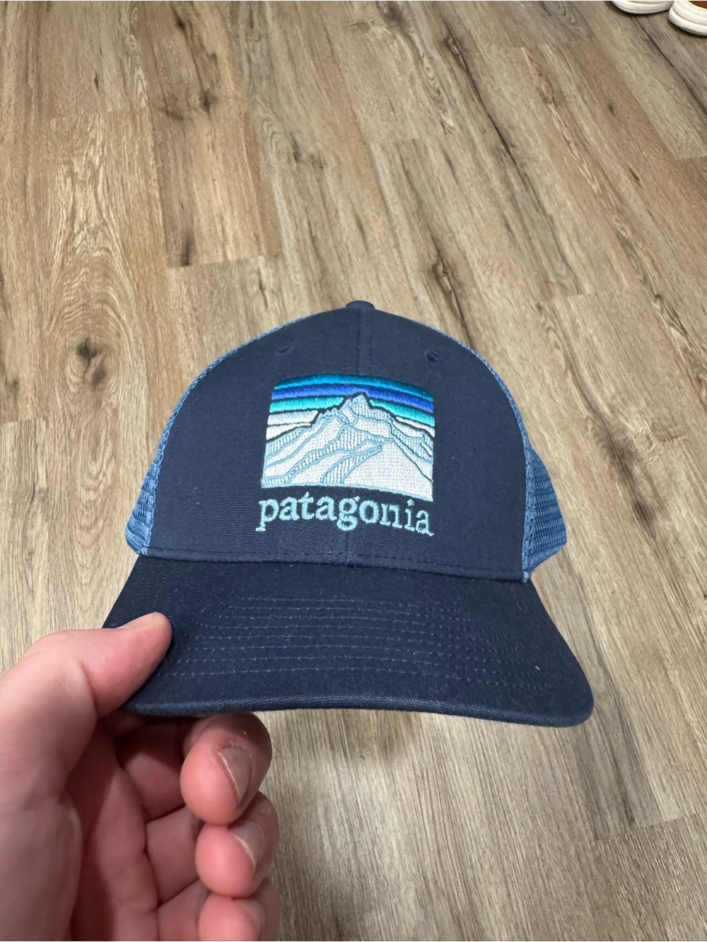 Patagonia Line Logo Ridge LoPro Trucker Hat
